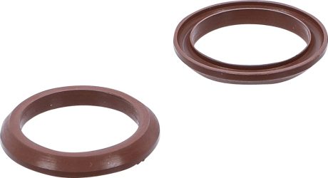 Fluorelastomerové těsnění k BGS 4067